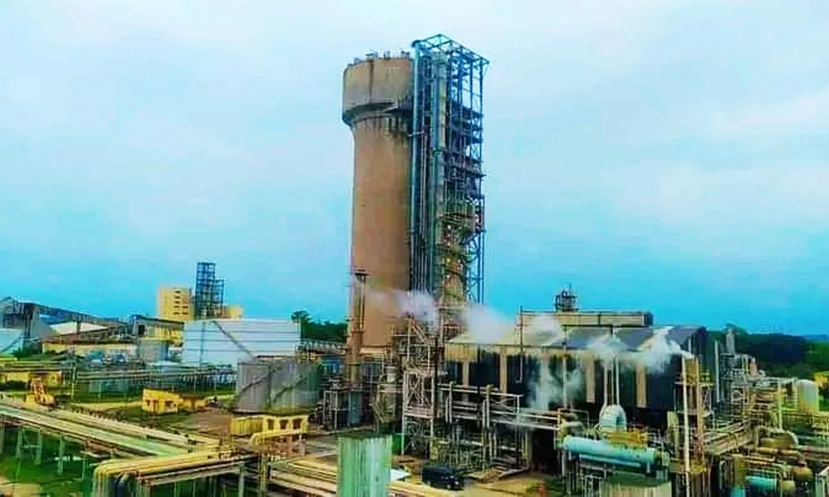 গ্যাস সংকটে ৫টি সার কারখানার উৎপাদন বন্ধ, ঝুঁকিতে কৃষি খাত